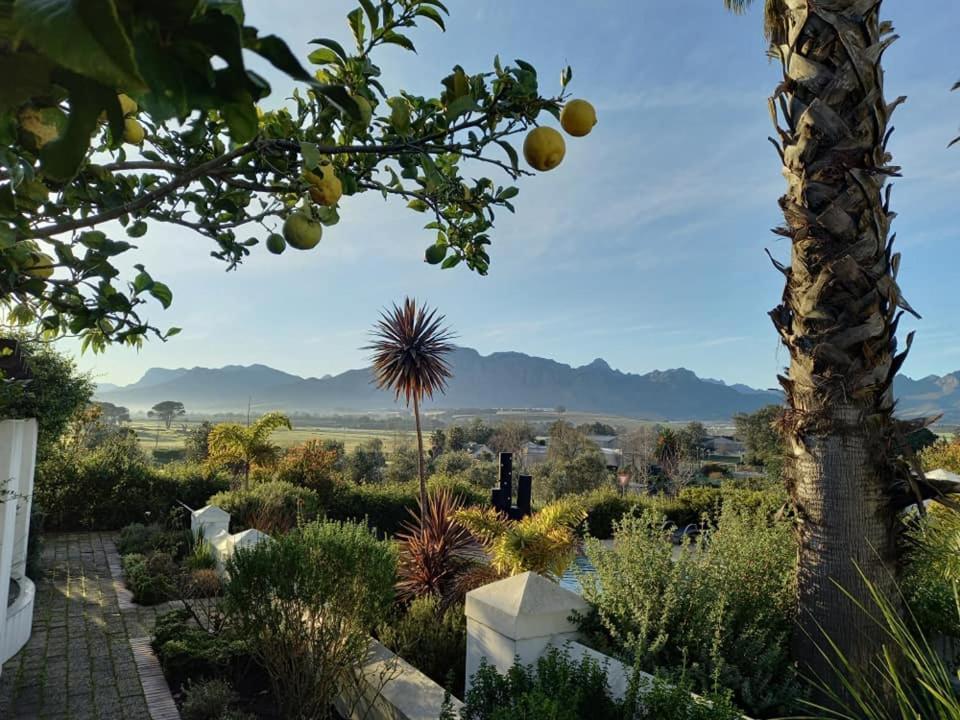 Wild Mushroom Country House Stellenbosch Exteriér fotografie