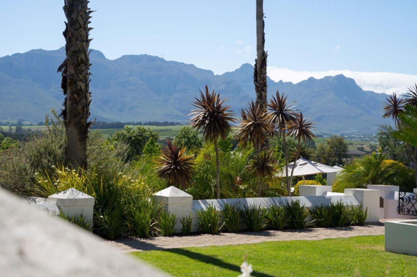 Wild Mushroom Country House Stellenbosch Exteriér fotografie